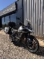 Tiger 900 GT PRO 2025