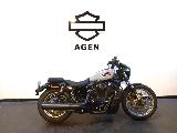 SPORTSTER NIGHTSTER 975 SPECIAL 2025