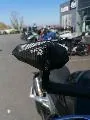 CFMOTO NK 800 THORN BIKES