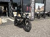 SCRAMBLER 900 2025