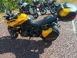 TIGER SPORT 800 2026