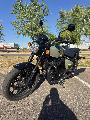 SHOTGUN 650 2024