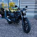 Eliminator 500 2025