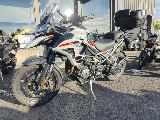 TIGER 1200 ALPINE EDITION 2026