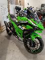 Ninja 500 SE 2026