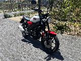 XSR 125 2025
