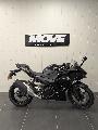 Ninja 500 2026