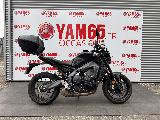 MT09 2023