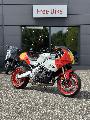 XSR 900 GP 2024