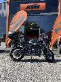 125 SCRAMBLER X 2022