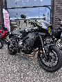 XSR 900 2024