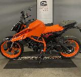 390 DUKE 2024