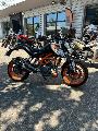 390 DUKE 2014