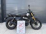 INTERCEPTOR BEAR 650 2025
