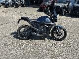 125 SCRAMBLER X 2024