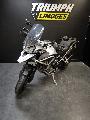 TIGER 1200 GT PRO 2024