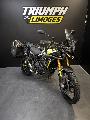 TIGER 900 RALLY PRO 2026