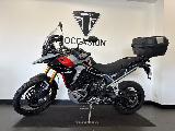 TIGER 900 RALLY PRO 2024