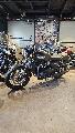 BONNEVILLE T100 900 2025