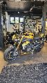 SPEED TRIPLE 1200 RS 2024