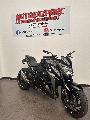 GSXS 1000 2019