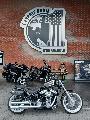 SOFTAIL STANDARD 1745 2022