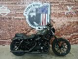 SPORTSTER 883 2019