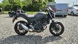 SV 650  2017