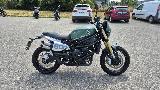 LEONCINO 800 T 2024