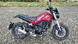LEONCINO 500 2022