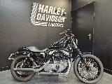 SPORTSTER NIGHTSTER 1200 2008