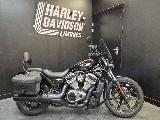 SPORTSTER NIGHTSTER 975 2022