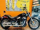SOFTAIL STANDARD 1745 2020