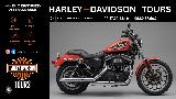 SPORTSTER 883 R 2008