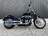 SOFTAIL STANDARD 1745 2021