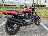 SPORTSTER XR1200 2009