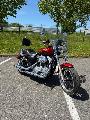 SPORTSTER 883 2013