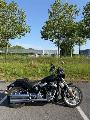 SOFTAIL STANDARD 1745 2022
