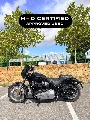SOFTAIL STANDARD 1745 2022