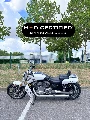 VROD MUSCLE 1250 2010