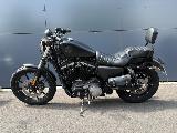 SPORTSTER 883 2019