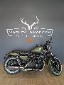 SPORTSTER IRON 883 2013