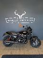 STREET ROD 750 2019
