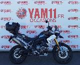 TIGER 900 RALLY PRO 2021