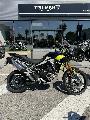 TIGER 900 RALLY PRO 2025