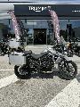TIGER 800 XRX 2016