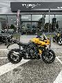TIGER SPORT 800 2025