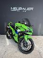 Ninja 500 2026
