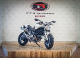 696 MONSTER 2014