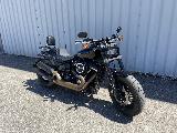 SOFTAIL FAT BOB 1745 2019